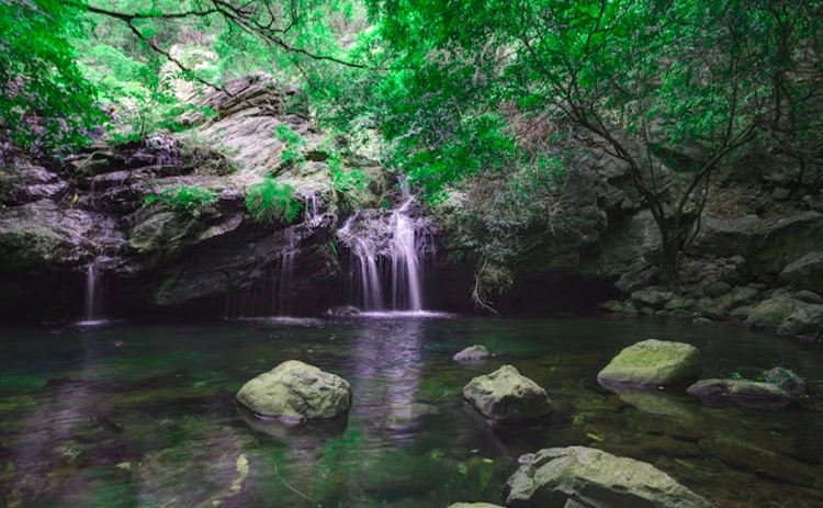 Nagalapuram waterfalls near Chennai, a hidden jungle oasis perfect for trekking and nature escapes.