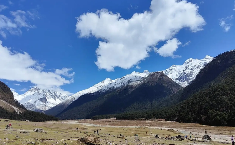 Visit Yumthang Valley, Lachung, and Zero Point to witness the stunning landscapes of North Sikkim.