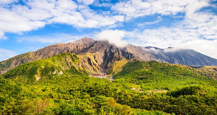 Eravikulam National Park