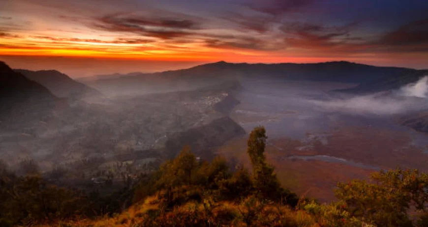 Eravikulam National Park