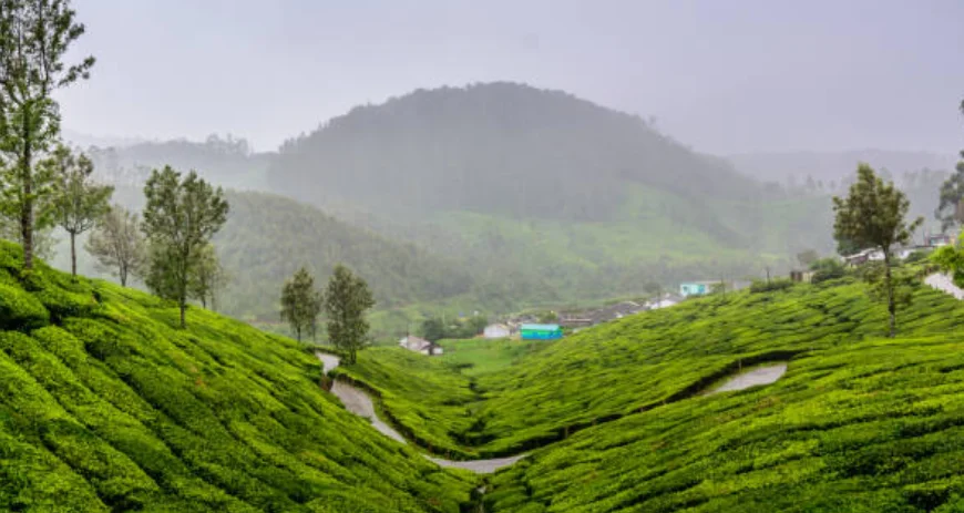 Wayanad Cultural Heritag