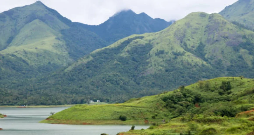 Tropical Spice Plantation in Kerala