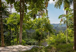 Andaman-list