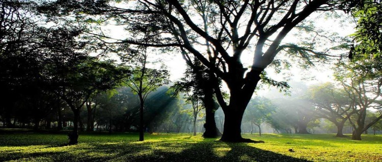 cubbon park in bangalore