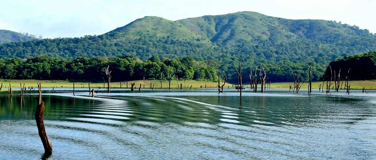 periyar lake in thekkady