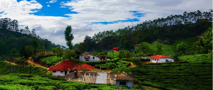 tata tea museum