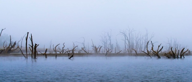 kabini riveer