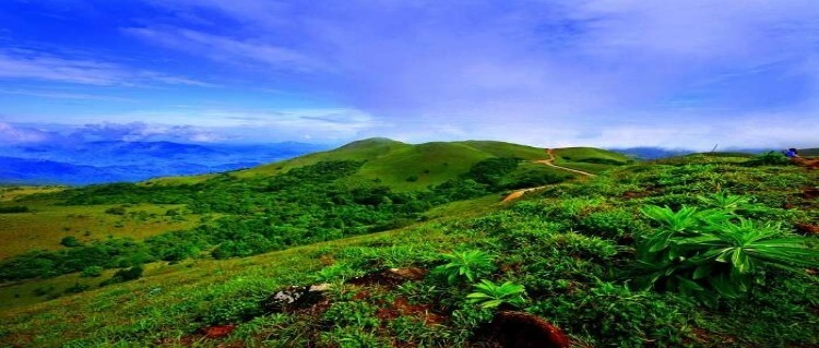 hills in coorg