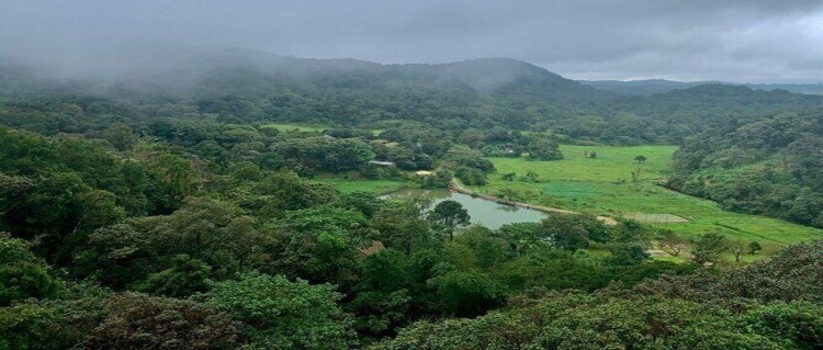 coorg hills