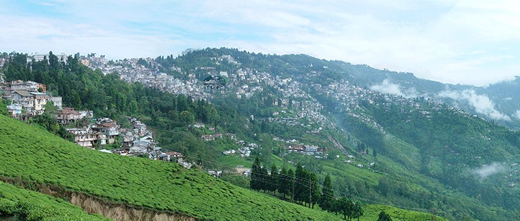 Darjeeling Honeymoon Tour