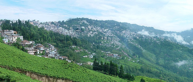 Darjeeling Tour