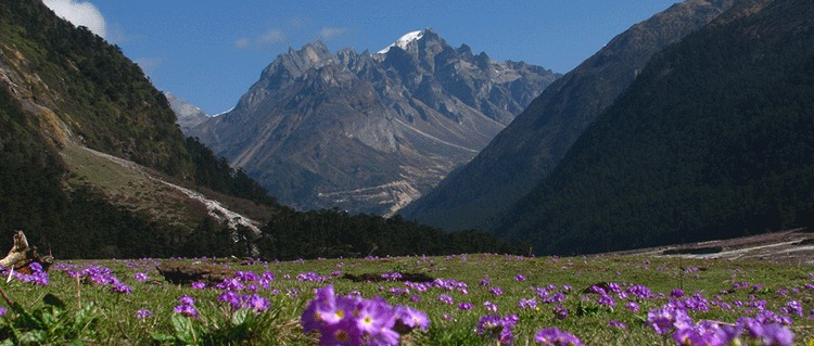 Gangtok Sikkim Tour Packages