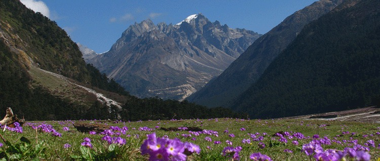 Romantic Gangtok Lachung Tour Packages