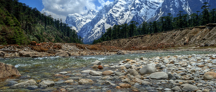 Gangtok Darjeeling Pelling Tour