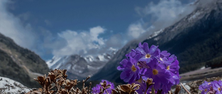 Sikkim Gangtok Darjeeling