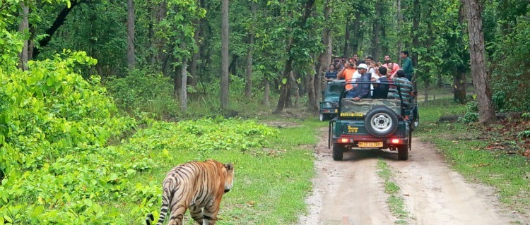 national park karnataka