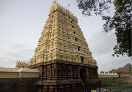 thiruvannamalai vellore tour packages