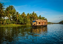 Cochin Kovalam Thekkady tour packages