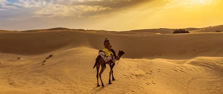 Explore Desert Tour Packages